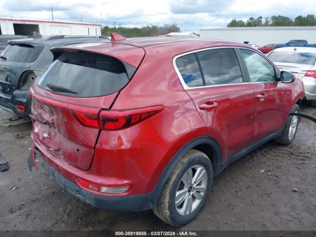 Photo 3 VIN: KNDPM3AC9H7175556 - KIA SPORTAGE 