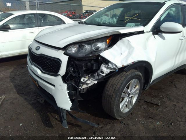 Photo 5 VIN: KNDPM3AC9K7518924 - KIA SPORTAGE 