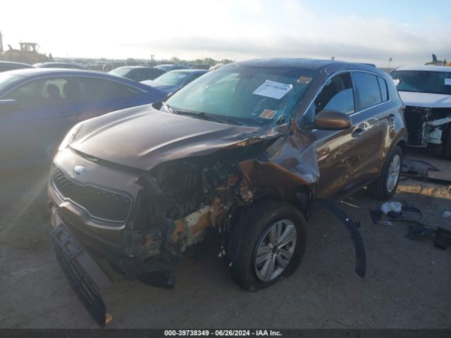 Photo 1 VIN: KNDPM3AC9K7581862 - KIA SPORTAGE 