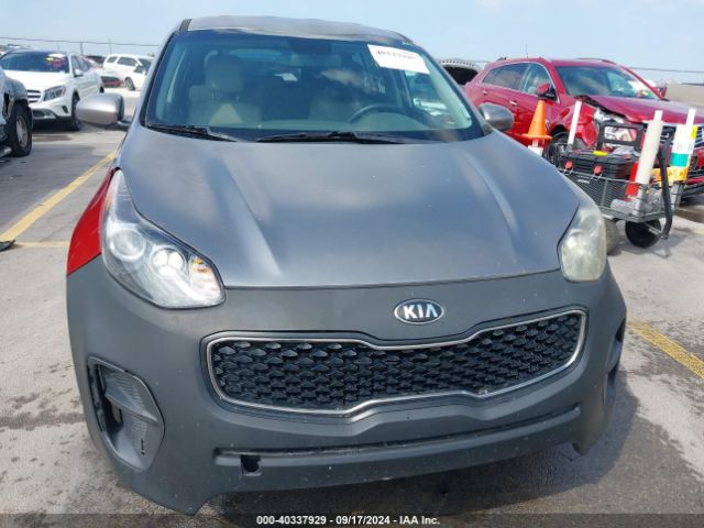 Photo 5 VIN: KNDPM3ACXH7102888 - KIA SPORTAGE 