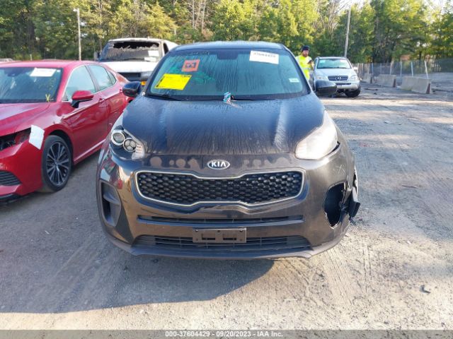 Photo 5 VIN: KNDPM3ACXH7126608 - KIA SPORTAGE 