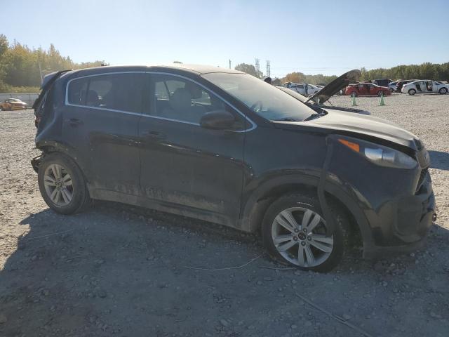 Photo 3 VIN: KNDPM3ACXH7186923 - KIA SPORTAGE 