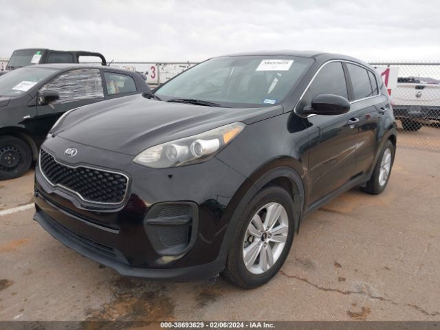 Photo 1 VIN: KNDPM3ACXJ7336812 - KIA SPORTAGE 