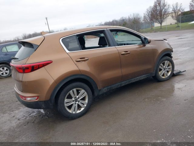 Photo 3 VIN: KNDPM3ACXK7503543 - KIA SPORTAGE 