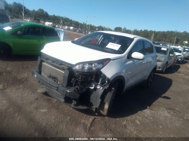 Photo 1 VIN: KNDPM3ACXM7905016 - KIA SPORTAGE 