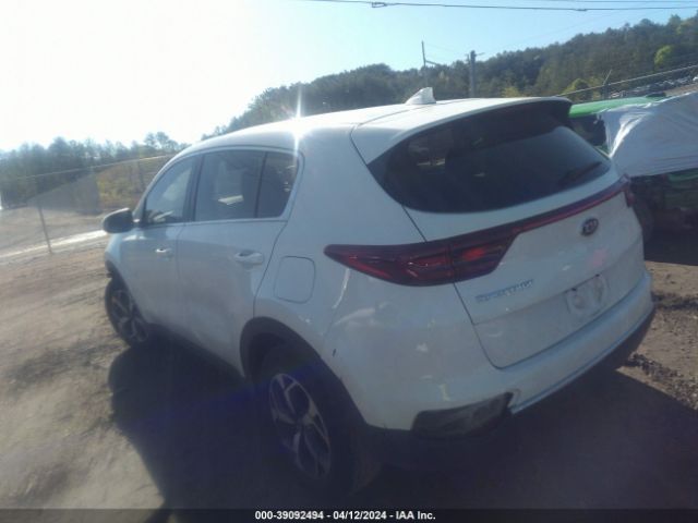 Photo 2 VIN: KNDPM3ACXM7905016 - KIA SPORTAGE 