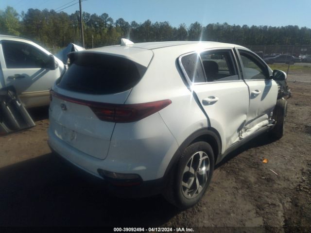 Photo 3 VIN: KNDPM3ACXM7905016 - KIA SPORTAGE 