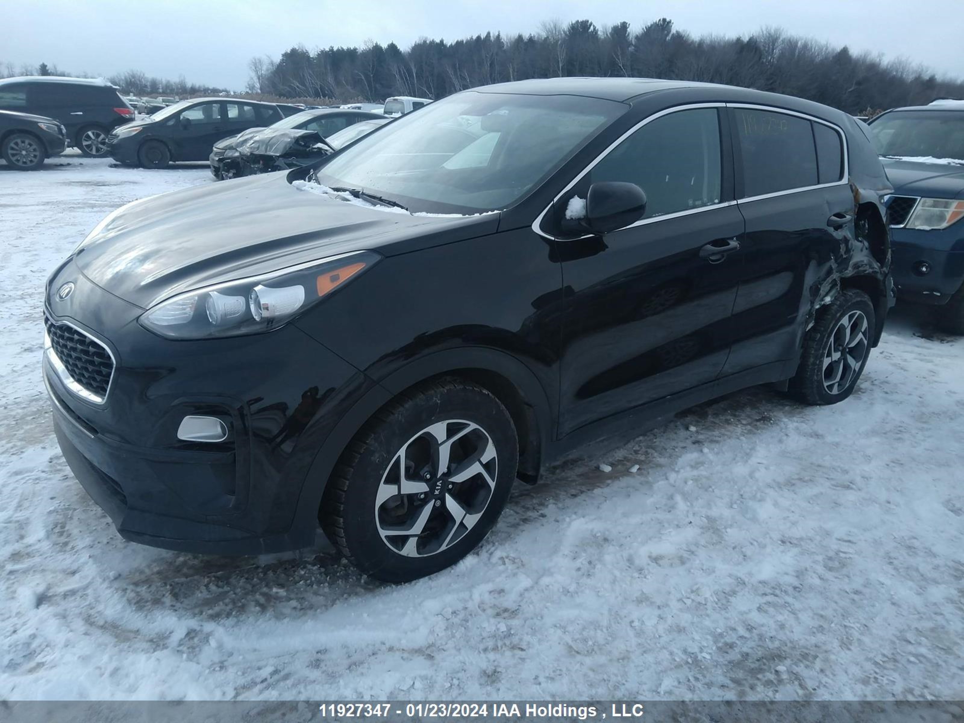 Photo 1 VIN: KNDPM3ACXN7972829 - KIA SPORTAGE 