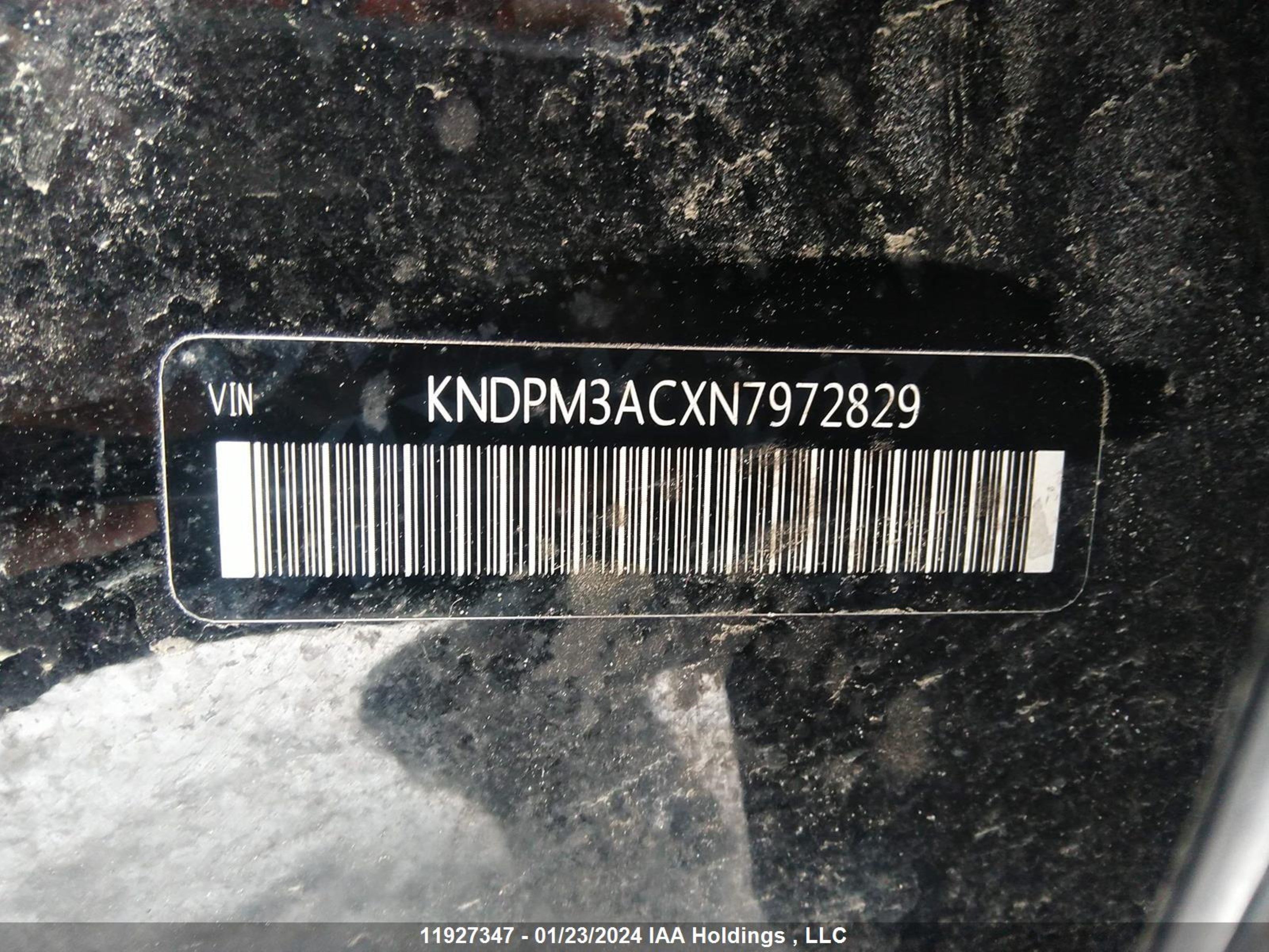 Photo 8 VIN: KNDPM3ACXN7972829 - KIA SPORTAGE 