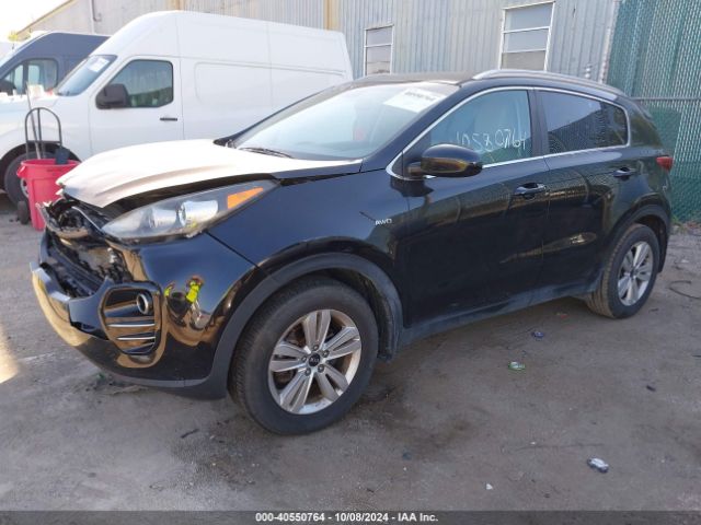 Photo 1 VIN: KNDPMCAC0H7069920 - KIA SPORTAGE 