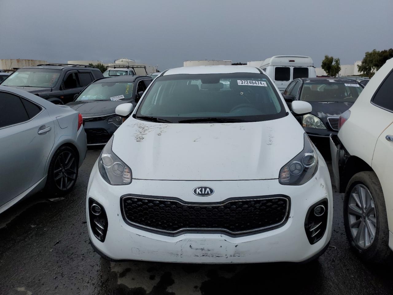 Photo 4 VIN: KNDPMCAC0H7276257 - KIA SPORTAGE 