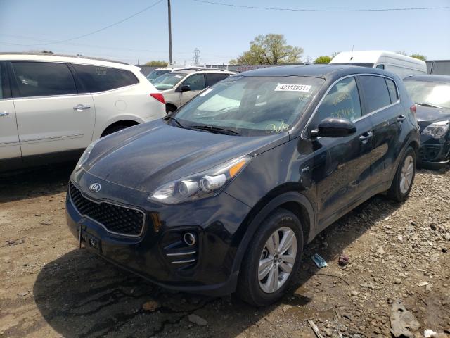 Photo 1 VIN: KNDPMCAC1H7168228 - KIA SPORTAGE 