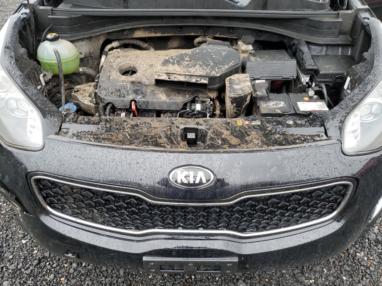 Photo 11 VIN: KNDPMCAC1K7502278 - KIA SPORTAGE 