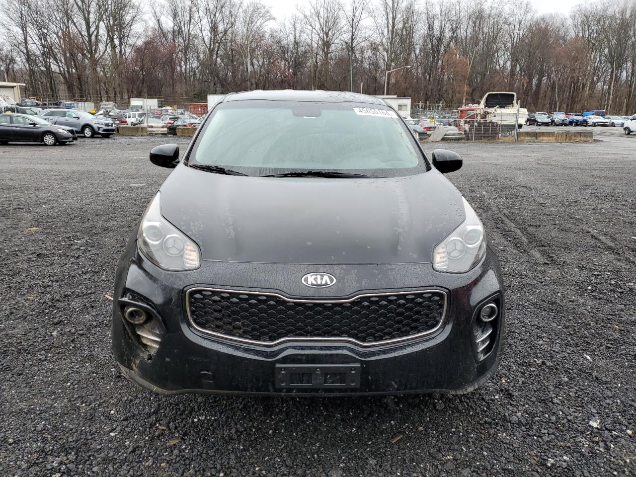 Photo 4 VIN: KNDPMCAC1K7502278 - KIA SPORTAGE 