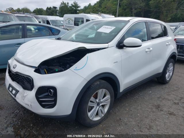 Photo 1 VIN: KNDPMCAC1K7515922 - KIA SPORTAGE 