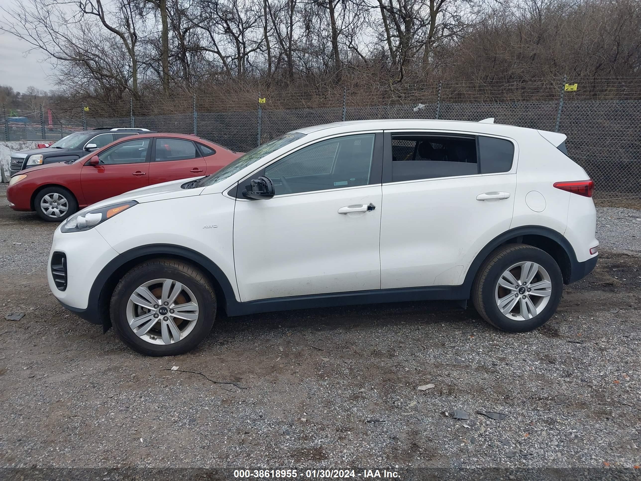 Photo 12 VIN: KNDPMCAC1K7597697 - KIA SPORTAGE 