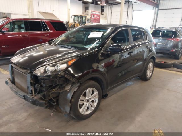 Photo 1 VIN: KNDPMCAC2H7079249 - KIA SPORTAGE 