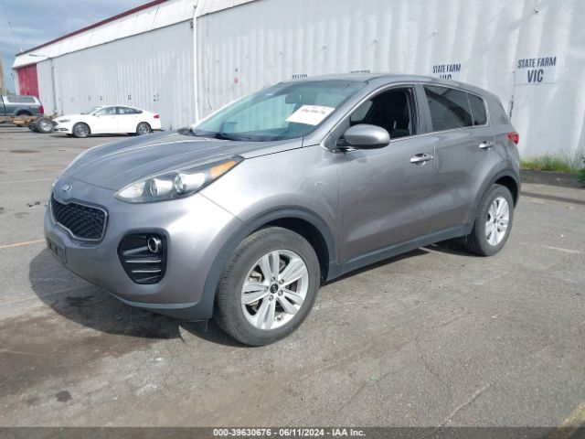 Photo 1 VIN: KNDPMCAC2H7168416 - KIA SPORTAGE 