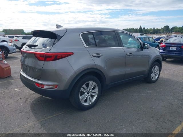 Photo 3 VIN: KNDPMCAC2H7168416 - KIA SPORTAGE 