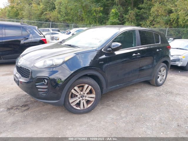 Photo 1 VIN: KNDPMCAC2H7192103 - KIA SPORTAGE 