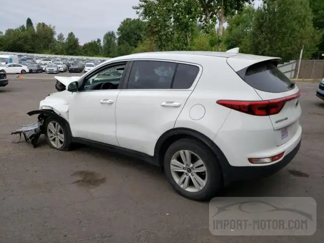 Photo 1 VIN: KNDPMCAC2K7510079 - KIA SPORTAGE 