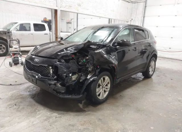 Photo 1 VIN: KNDPMCAC2K7613356 - KIA SPORTAGE 