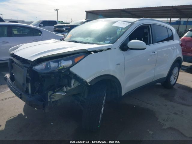 Photo 1 VIN: KNDPMCAC2K7623952 - KIA SPORTAGE 