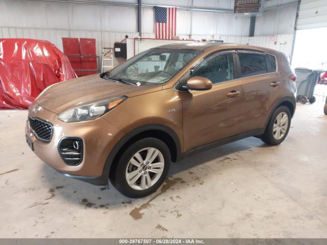 Photo 1 VIN: KNDPMCAC3H7116177 - KIA SPORTAGE 