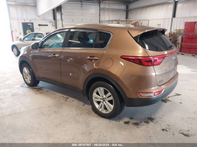 Photo 2 VIN: KNDPMCAC3H7116177 - KIA SPORTAGE 