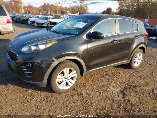 Photo 1 VIN: KNDPMCAC3H7207465 - KIA SPORTAGE 