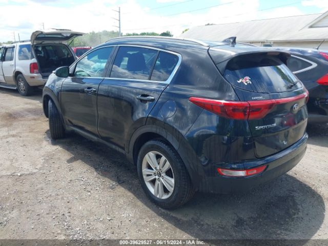 Photo 2 VIN: KNDPMCAC3H7237288 - KIA SPORTAGE 