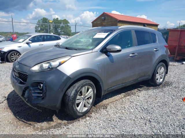 Photo 1 VIN: KNDPMCAC3J7303375 - KIA SPORTAGE 