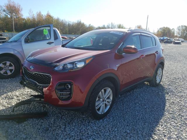 Photo 1 VIN: KNDPMCAC4H7151889 - KIA SPORTAGE 