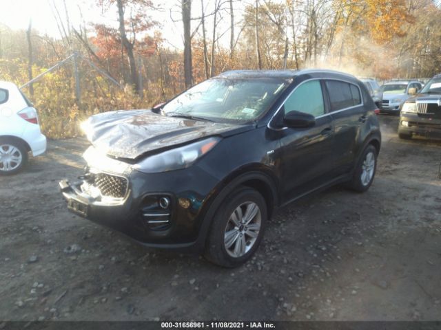 Photo 1 VIN: KNDPMCAC4H7261700 - KIA SPORTAGE 