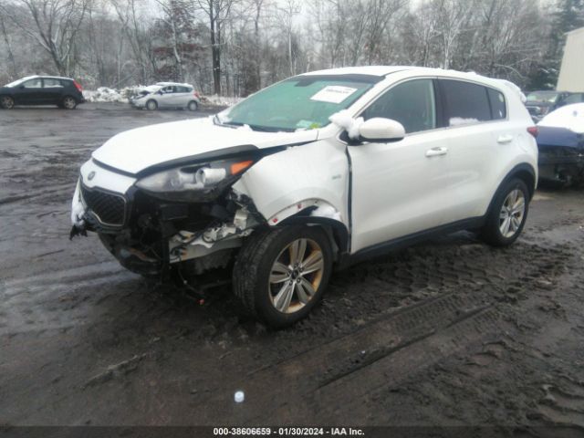 Photo 1 VIN: KNDPMCAC4H7275239 - KIA SPORTAGE 