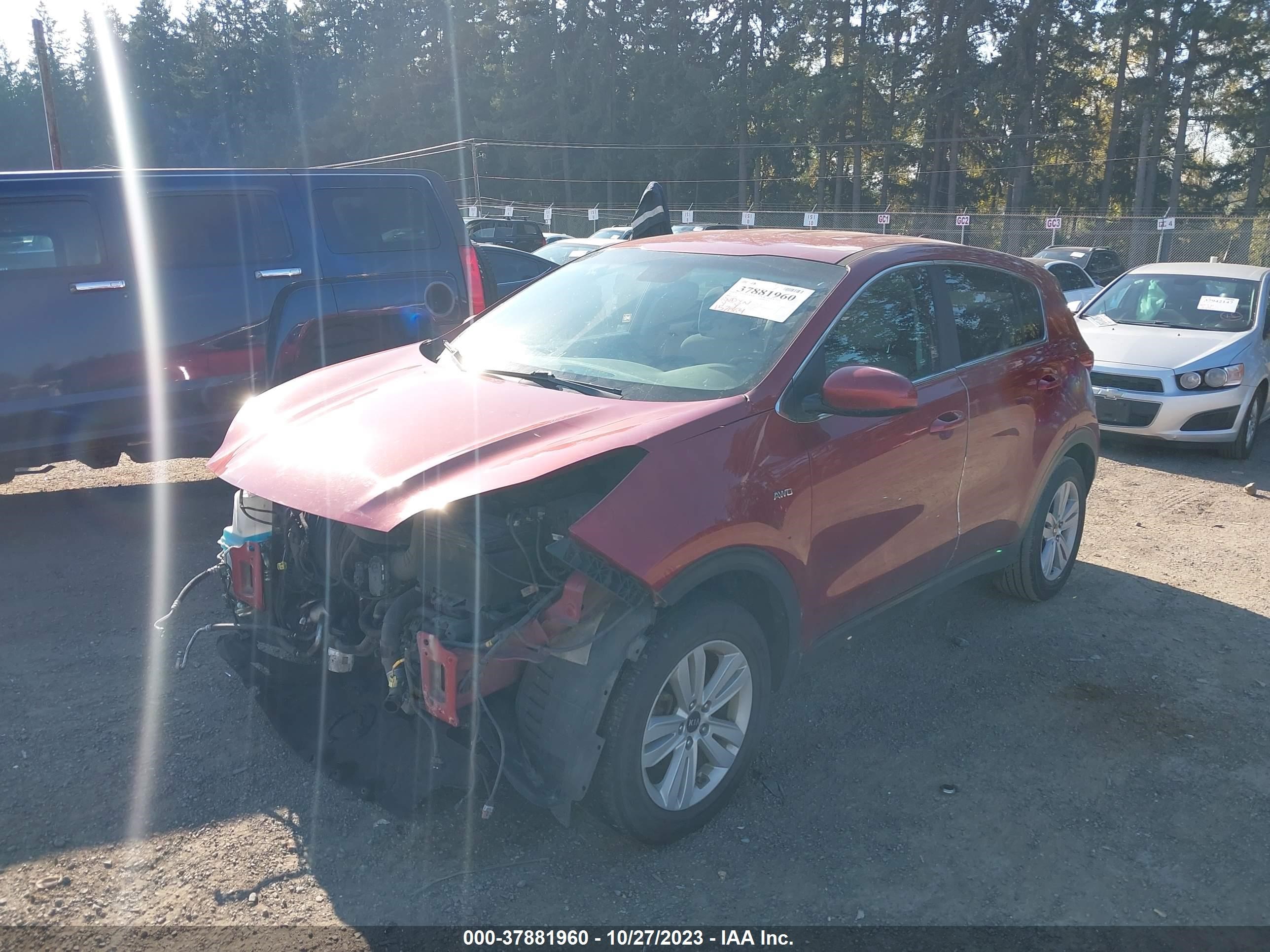 Photo 1 VIN: KNDPMCAC6H7112365 - KIA SPORTAGE 