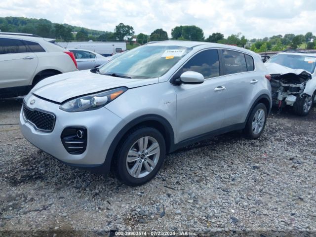 Photo 1 VIN: KNDPMCAC6H7141607 - KIA SPORTAGE 