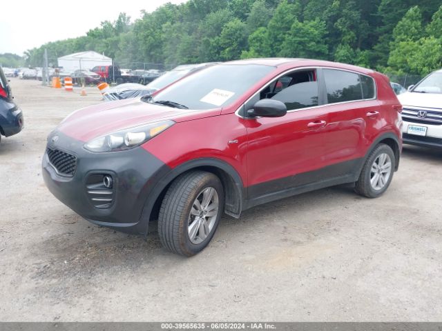 Photo 1 VIN: KNDPMCAC6H7157029 - KIA SPORTAGE 