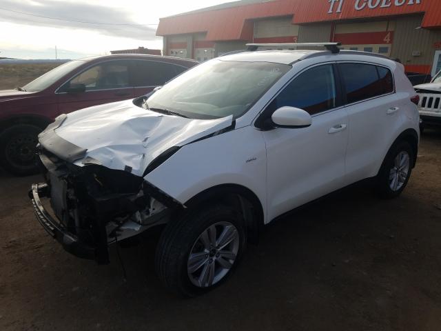 Photo 1 VIN: KNDPMCAC6J7304875 - KIA SPORTAGE 