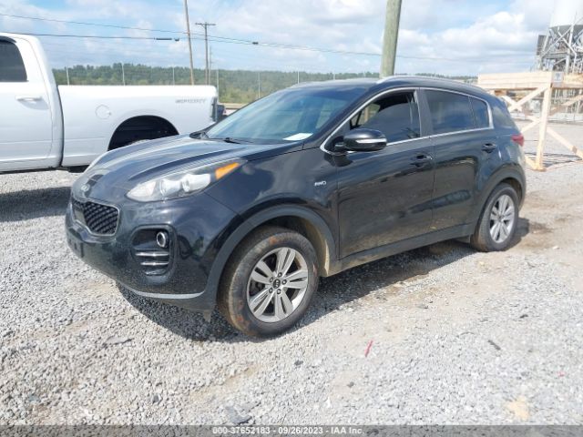 Photo 1 VIN: KNDPMCAC6J7305556 - KIA SPORTAGE 