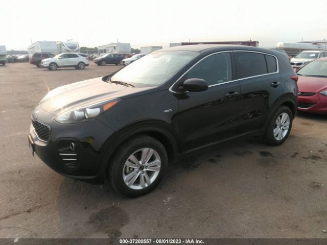 Photo 1 VIN: KNDPMCAC6K7584413 - KIA SPORTAGE 