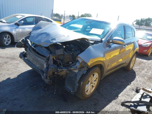 Photo 1 VIN: KNDPMCAC7H7256734 - KIA SPORTAGE 