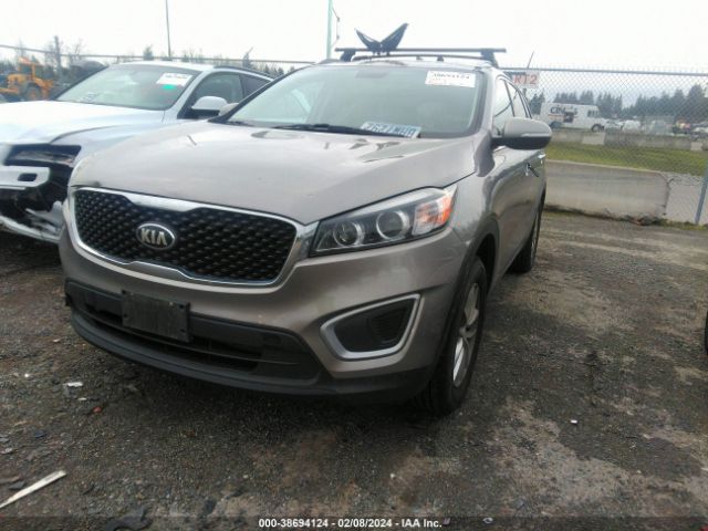 Photo 1 VIN: KNDPMCAC7M7900775 - KIA SPORTAGE 