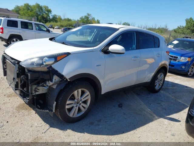 Photo 1 VIN: KNDPMCAC8H7065677 - KIA SPORTAGE 