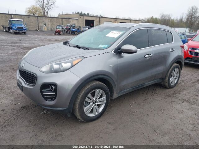 Photo 1 VIN: KNDPMCAC8H7101898 - KIA SPORTAGE 