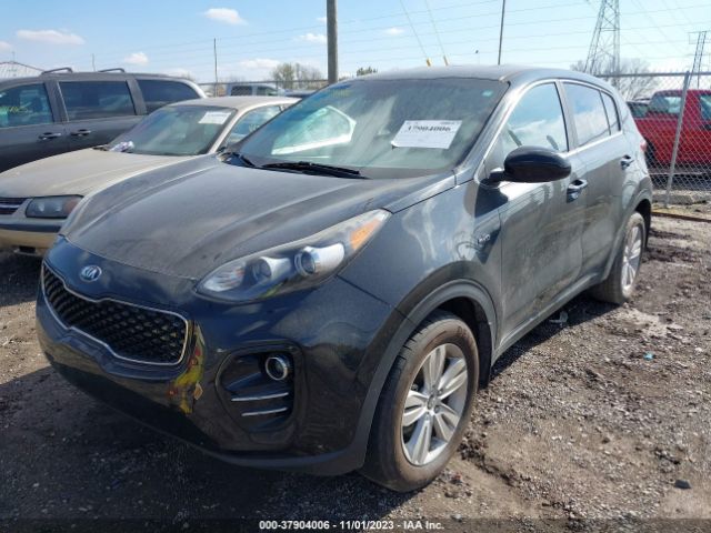 Photo 1 VIN: KNDPMCAC8H7112545 - KIA SPORTAGE 