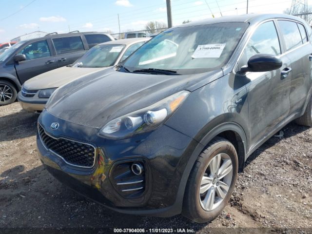 Photo 5 VIN: KNDPMCAC8H7112545 - KIA SPORTAGE 