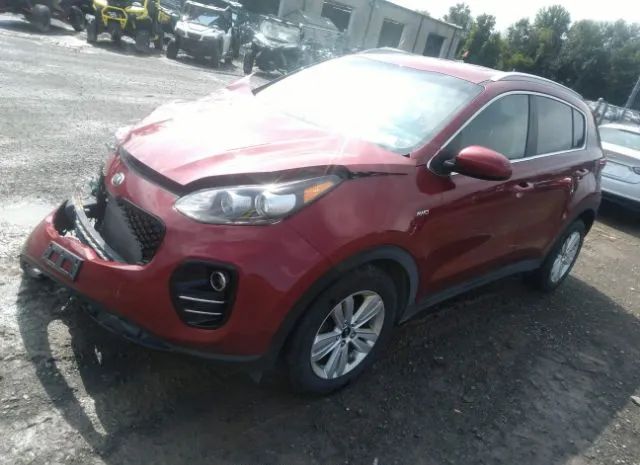 Photo 1 VIN: KNDPMCAC8H7116255 - KIA SPORTAGE 