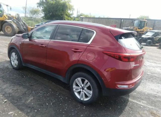 Photo 2 VIN: KNDPMCAC8H7116255 - KIA SPORTAGE 