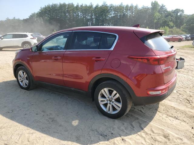 Photo 1 VIN: KNDPMCAC8H7157257 - KIA SPORTAGE 